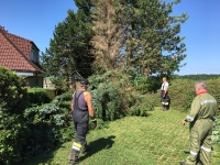 Unwetter im Bezirk, 31.7.-1.8.2019_1
