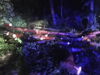 Unwetter im Bezirk Jennersdorf_12