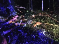 Unwetter im Bezirk Jennersdorf_13