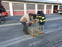 2020-01-22-Stapler- und Ladekrankurs_1