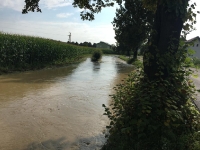 2020-08-15 Unwetter Je_13