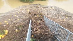2020-08-23 Unwetter Grieselstein_1