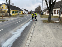 2022-03-05 Arbeitsreicher Tag FF Mogersdorf-Ort_2