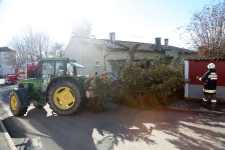 2023-02-05 Sturmschaden Jennersdorf_1