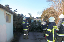 2023-02-05 Sturmschaden Jennersdorf_2