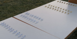 2023-03-04 Wissenstest_15