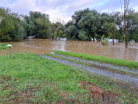 2023-08-04 Hochwasser Mogersdorf_10