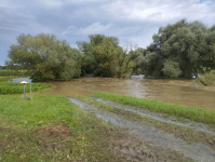 2023-08-04 Hochwasser Mogersdorf_4